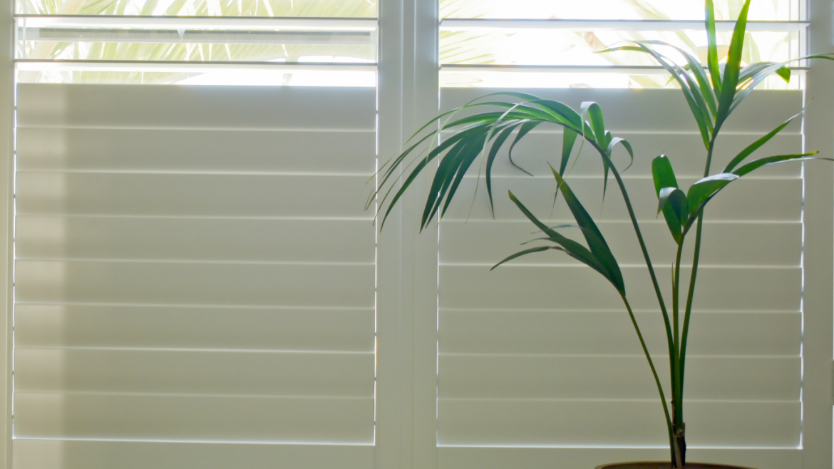 Plantation shutters